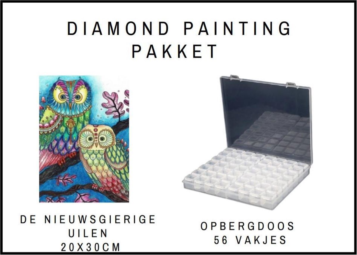 Diamond Painting pakket - Starters pakket - Gift - Cadeau - Hobby - Stil leven - Opbergdoos - Sorteerdoos - Diamond Painting sorteerdoos - Opbergbox - Assortimentsdoos - De Nieuwsgierige Uilen