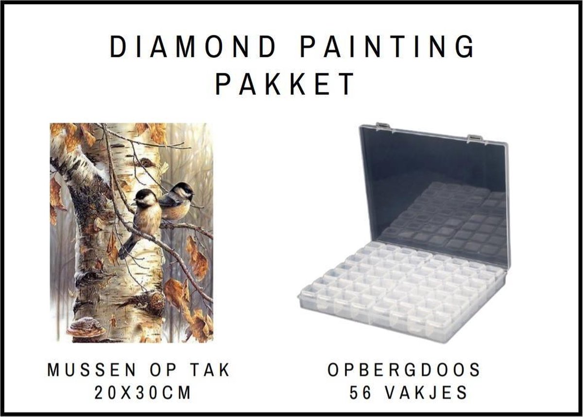 Diamond Painting pakket - Starters pakket - Gift - Cadeau - Hobby - Stil leven - Opbergdoos - Sorteerdoos - Diamond Painting sorteerdoos - Opbergbox - Assortimentsdoos - Mussen op tak