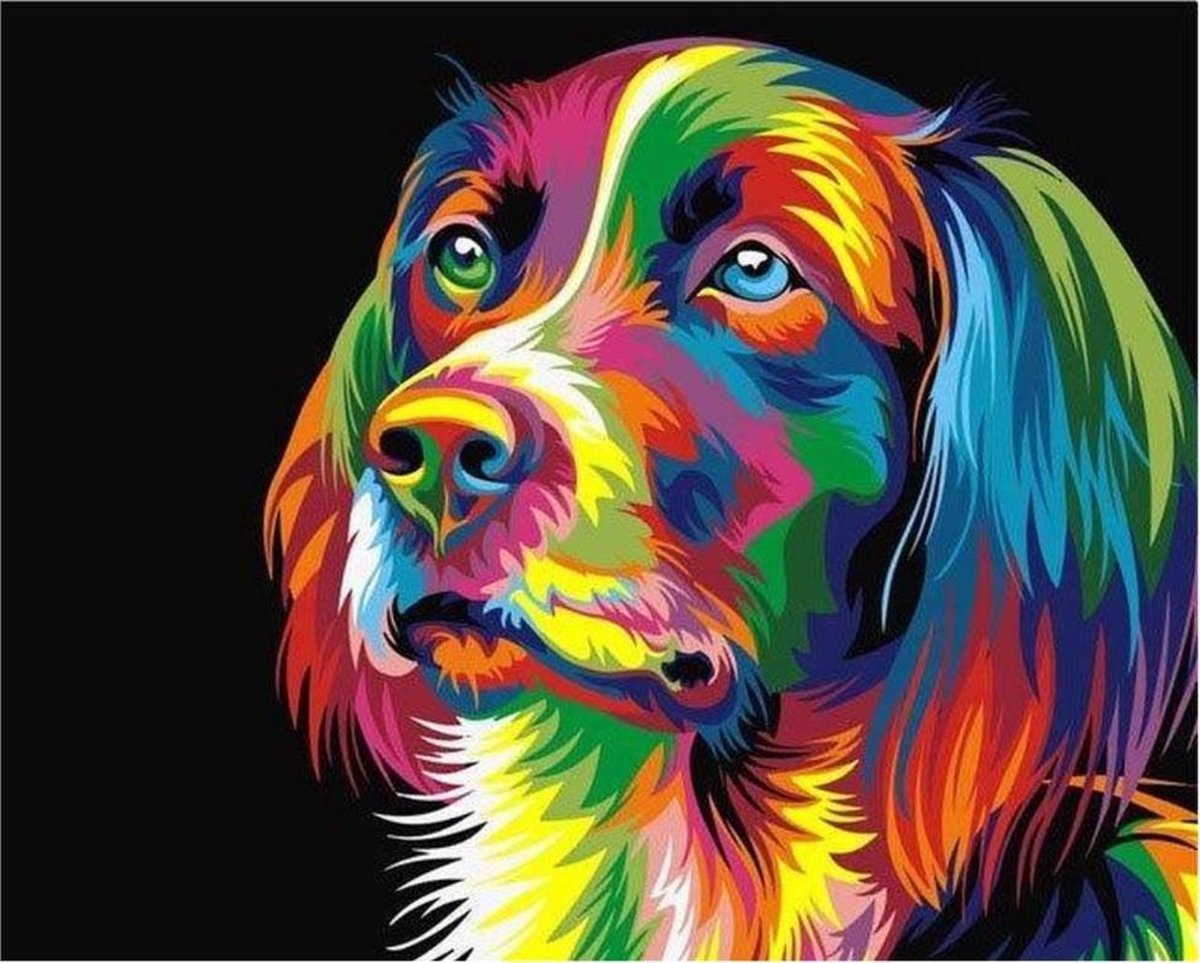 Diamond painting - 70% steentjes 30% poster- Gekleurde Hond - Hobby - Hond - Diamond schilderen - Volwassen Abstract - 30x30cm