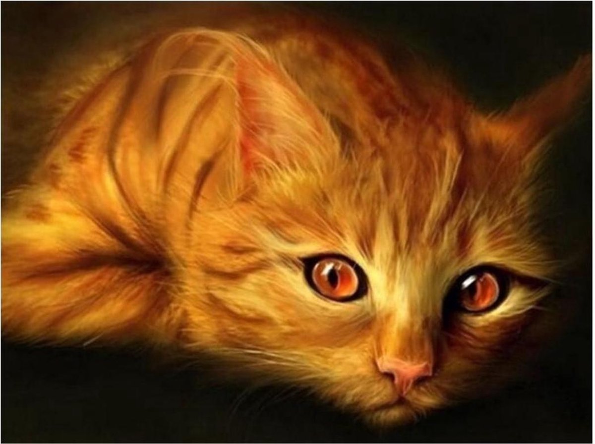 Diamond painting - De Rooie Kater - Dieren - Diamond schilderen - Volwassen - Kinderen - Kat - Natuur - 20x30 cm