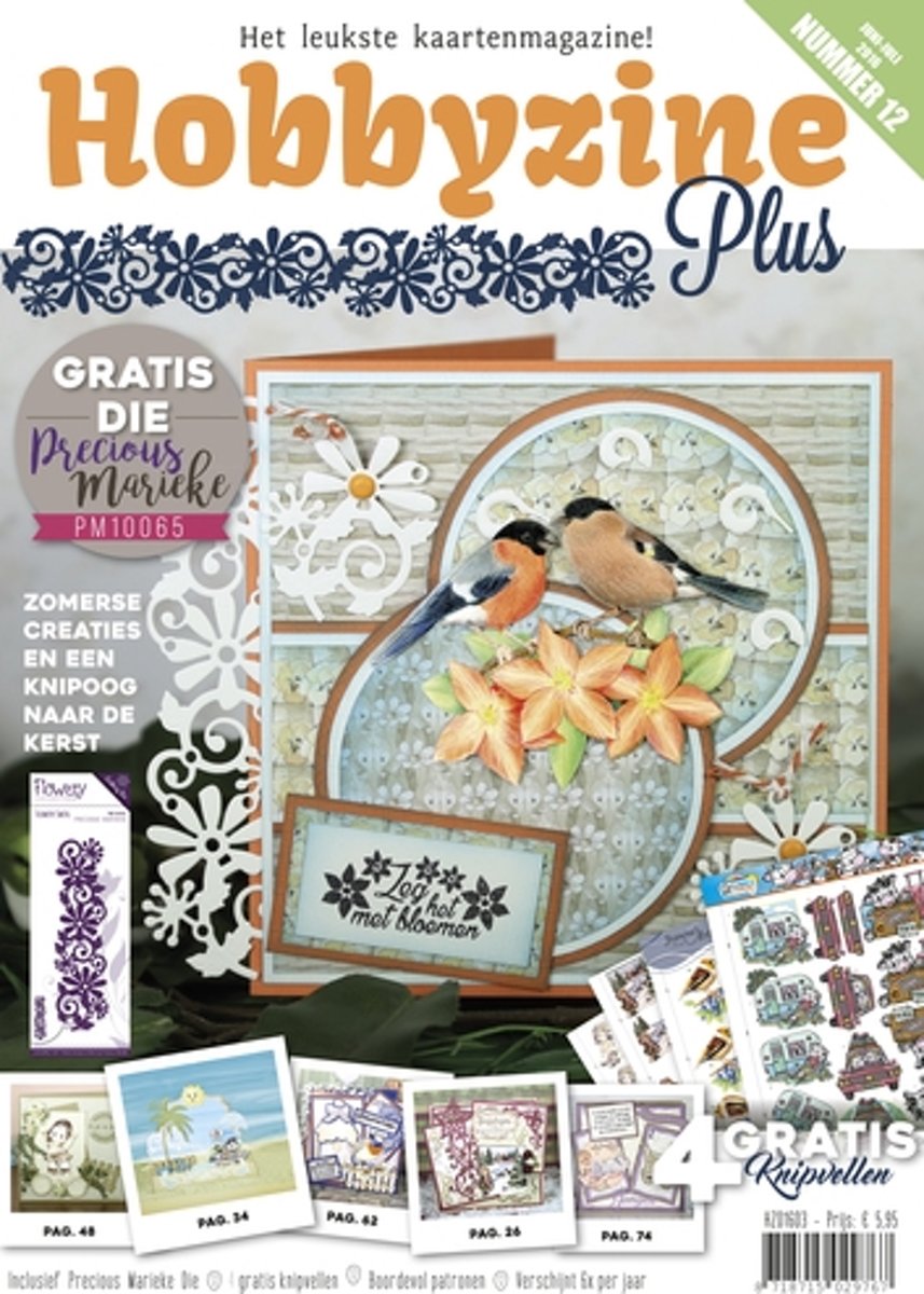 Hobbyzine Plus 12