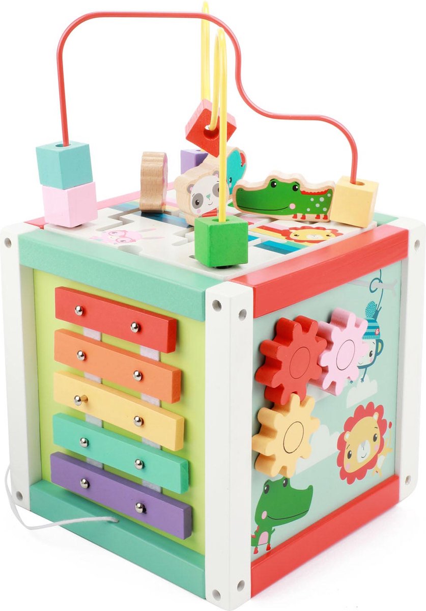 Fisher Price Activiteiten Kubus Hout