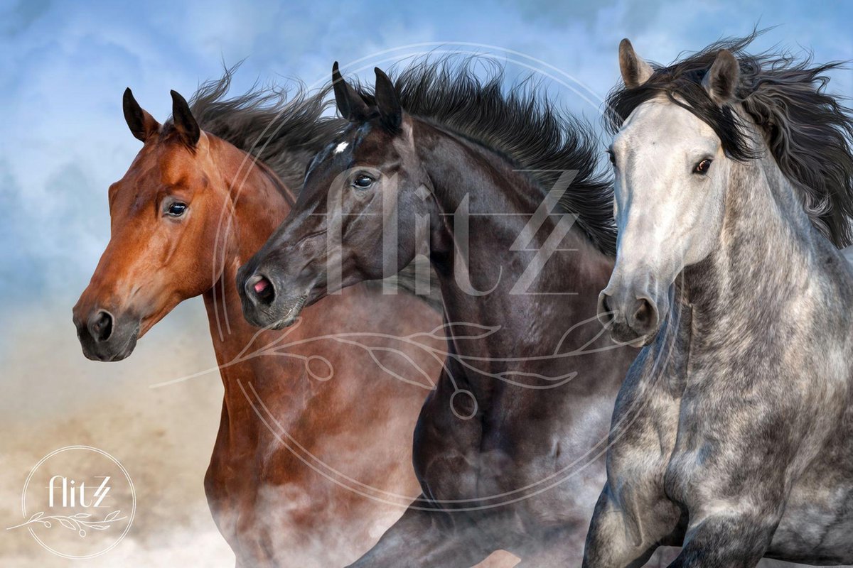 Volledige Nederlandse Productie! │ Diamond Painting │ Wilde Paarden 01 │ Formaat 75 x 50 cm │ Diamond Painting Pakket Volwassen │ Volledige bedekking │ Vierkant │ Full │ Flitzz Diamond Painting