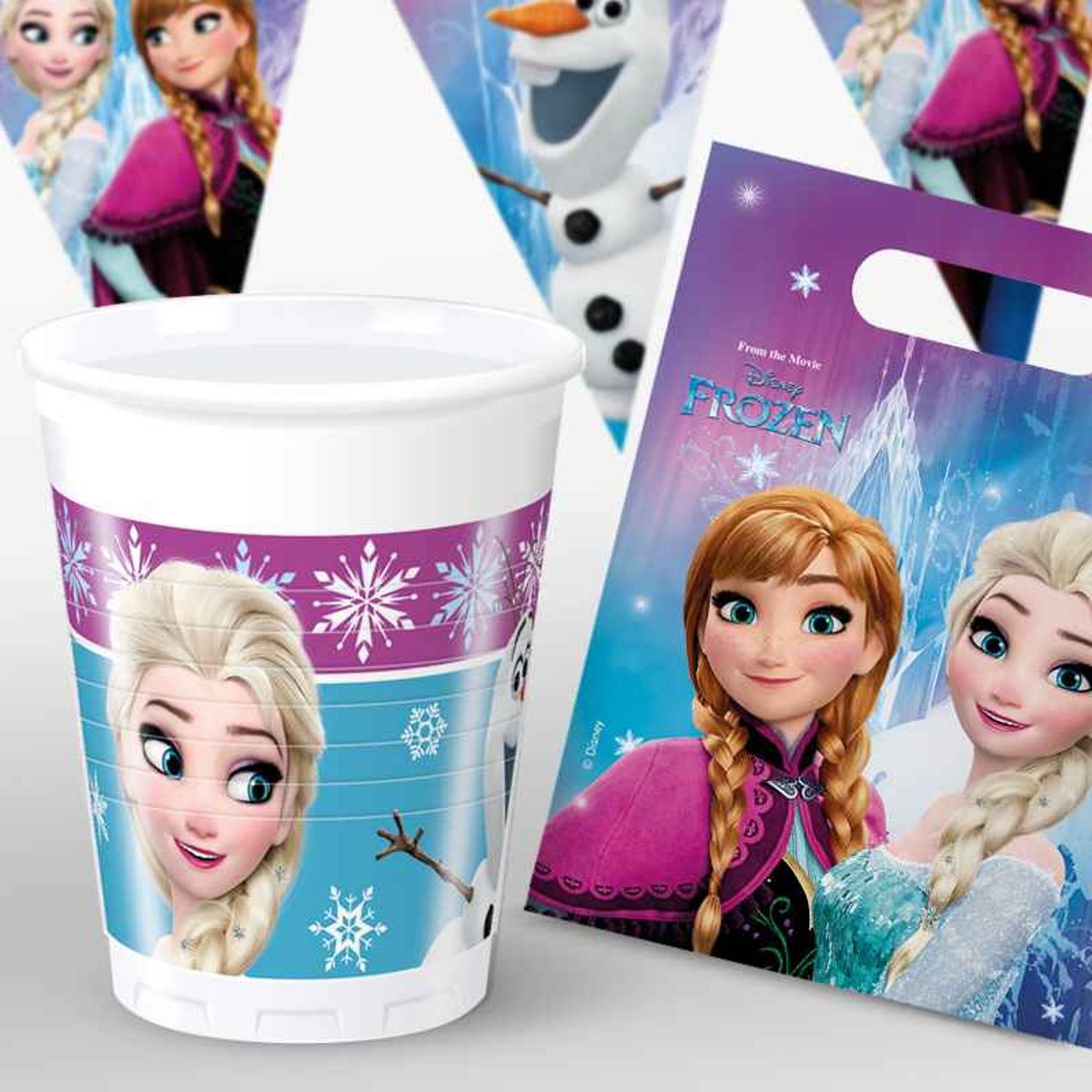 Disney Frozen Northern Lights Verjaardag Pakket