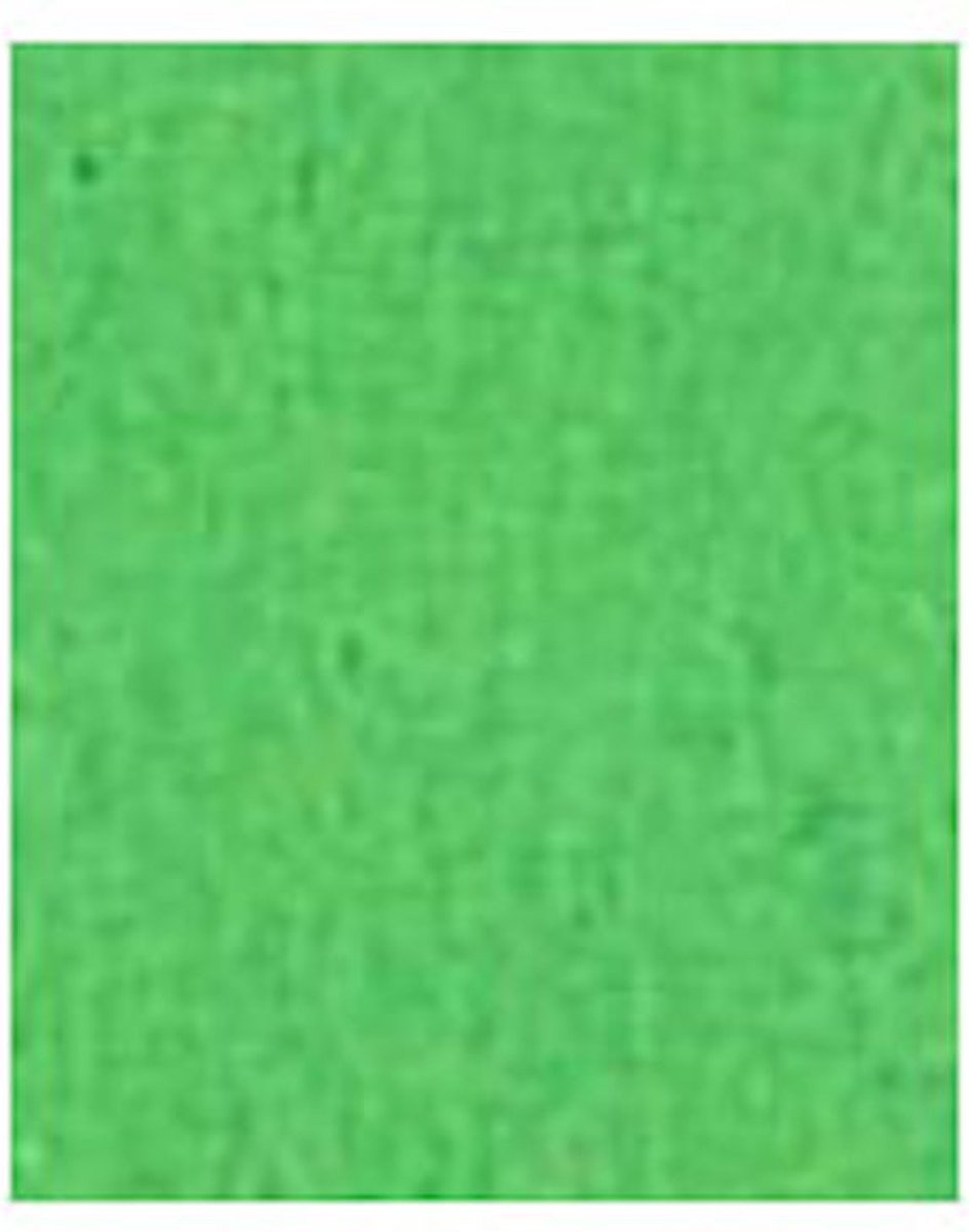 Fotokarton folia appelgroen 50x70cm 300gr pak a 25 vel