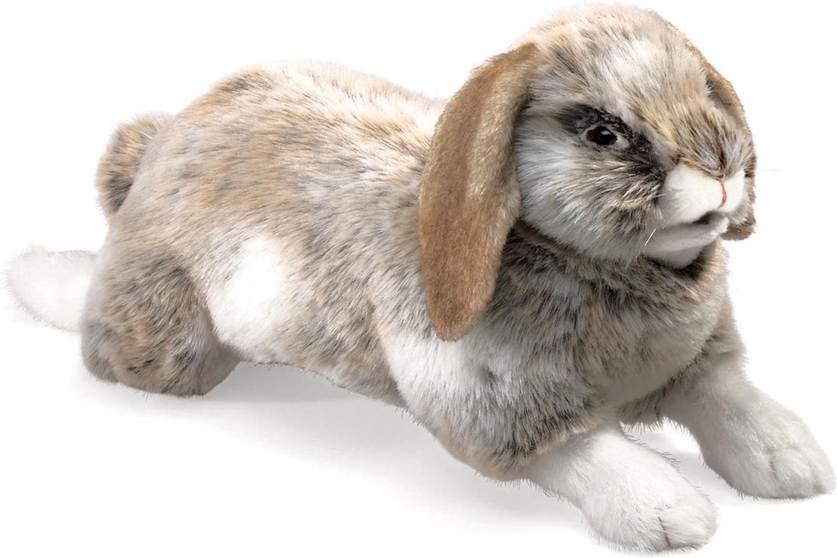 Folkmanis Rabbit, Holland Lop