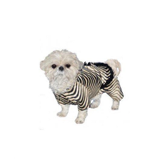 Honden kostuum zebra