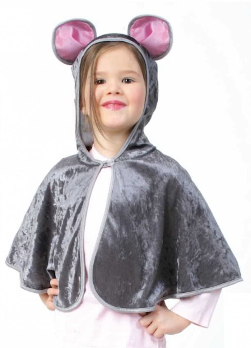 Peuter verkleedkleding poncho muis 98