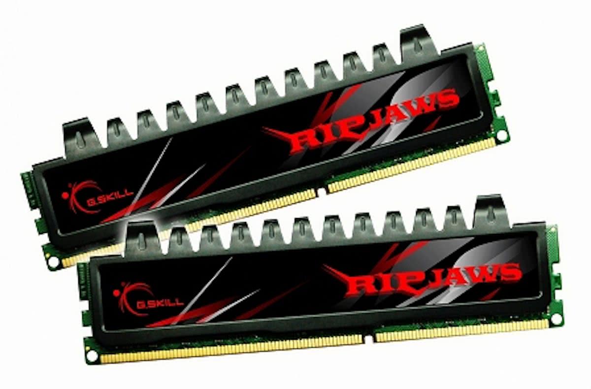 G.Skill F3-10666CL7D-4GBRH 4GB DDR3 1333MHz geheugenmodule