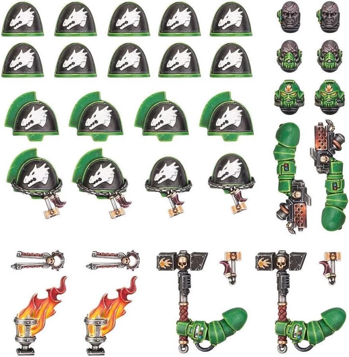 Warhammer 40.000 Salamanders Primaris Upgrades & Transfers