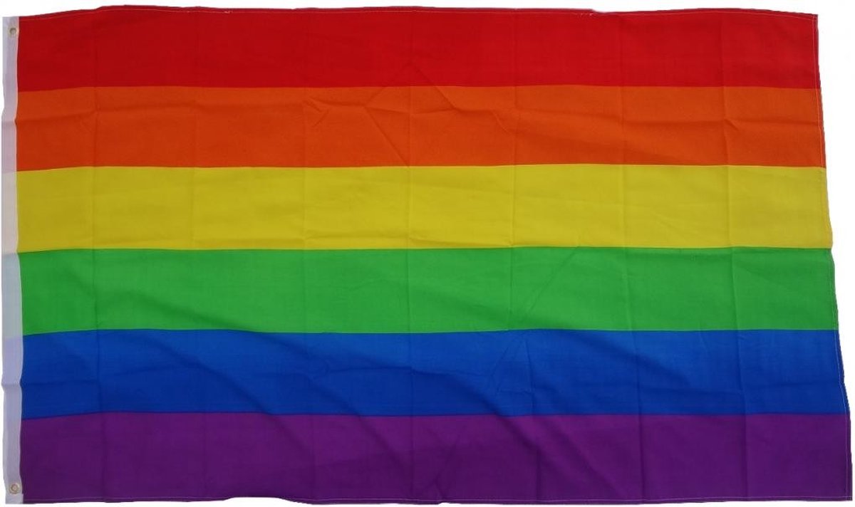 Vlag regenboog / vrede 90 x 150 cm vlag met 2 oogjes 100 g / m² stofgewicht