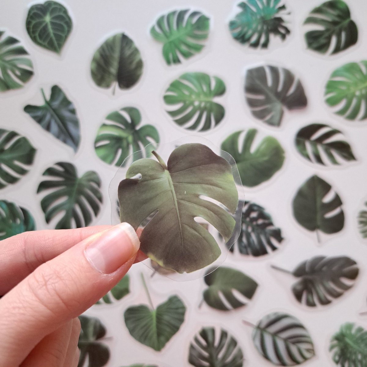 Monstera planten stickers - bladeren - Transparante stickers - 40 stuks - Scrapbook - Bullet journal stickers - laptop stickers - Stickers volwassenen en kinderen