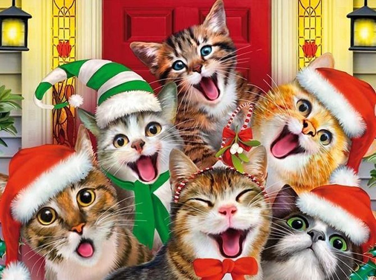 Diamond painting 40 x 50 cm grappige kerst poezen volledige bedrukking ronde steentjes - poes - kat - katten - kerstmuts -  lachen -  happy - feest.