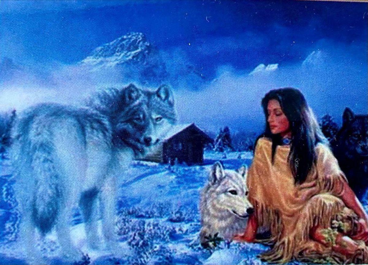 Diamond painting 40 x 50 cm indianen vrouw met wolven volledige bedrukking ronde steentjes direct leverbaar - indiaan - wolf - wolven - maan - landschap - sneeuw - nieuw