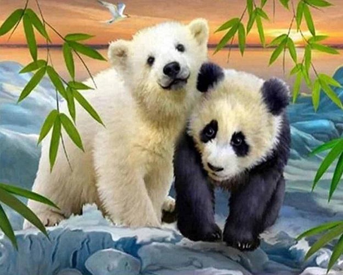 Diamond painting Panda met ijsbeer 40 x 50 cm volledige bedrukking ronde steentjes direct leverbaar - panda - ijs beer - beer - verliefd - natuur - zee  - bamboe