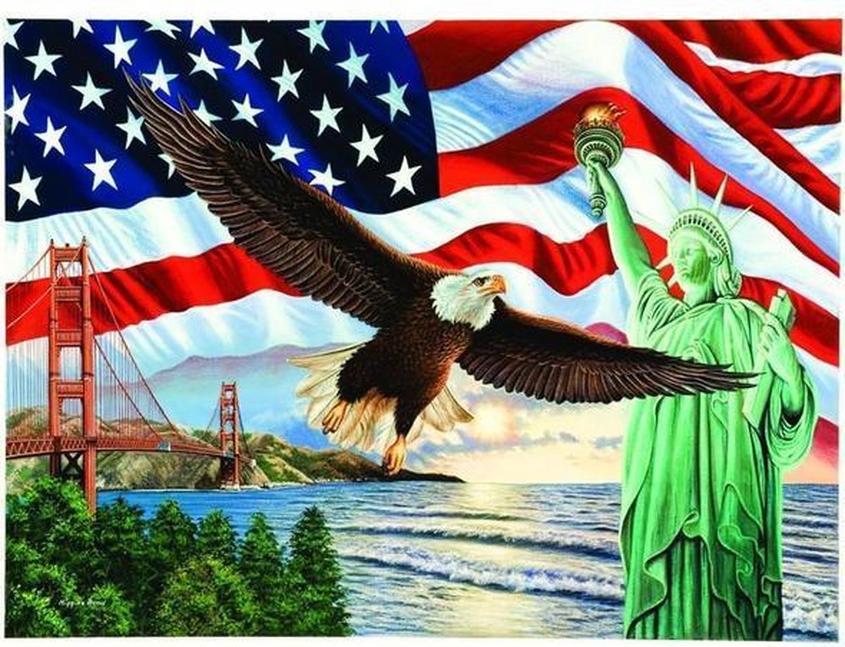 Diamond painting roofvogel vrijheidsbeeld 40 x 50 cm volledige bedrukking ronde steentjes direct leverbaar - new york _ New  York - roof - vogel - arend - adelaar - havik - Amerikaanse vlag