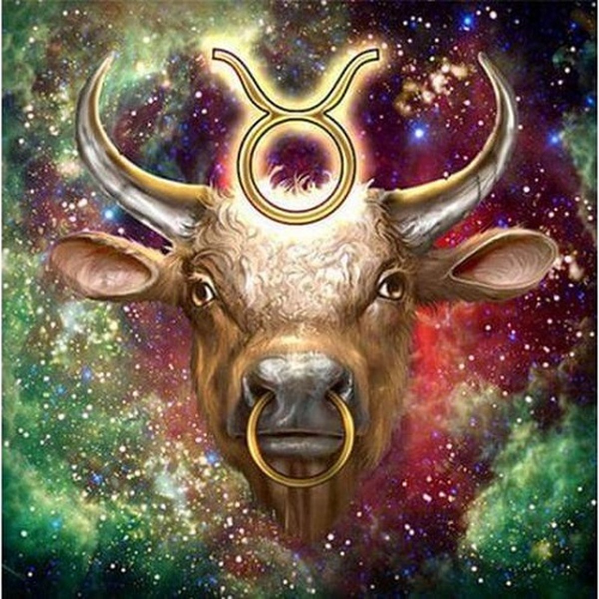 Diamond painting stier sterrenbeeld 40 x 40 cm volledige bedrukking ronde steentjes direct leverbaar - stier - os - sterren beeld - hoorns - unieke afbeelding