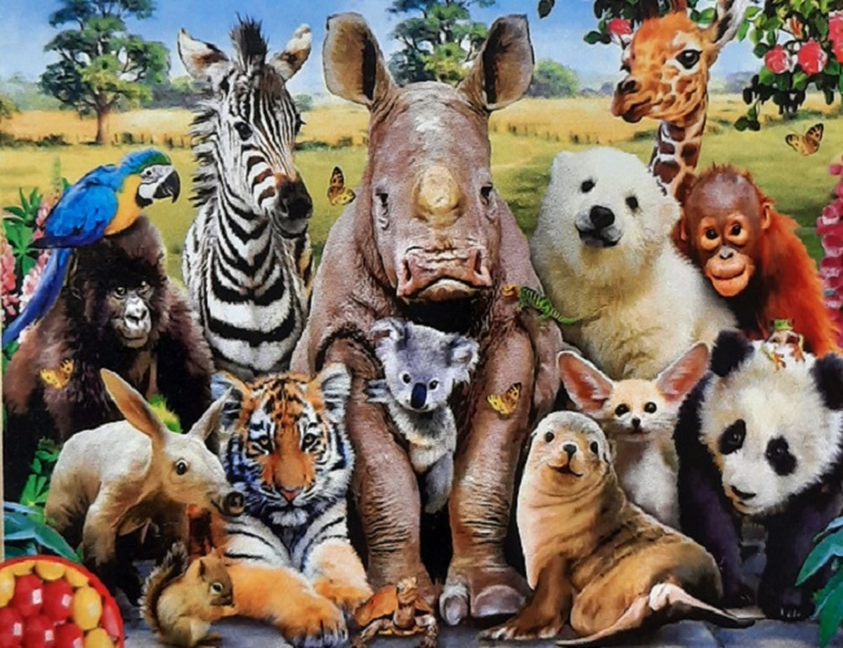 Diamond painting verschillende mooie dieren dieren rijk 40 x 50 cm volledige bedrukking ronde steentjes direct leverbaar.- papagaai - aap - zebra - neushoorn - beer - panda - giraf  Peinture au diamant beaux animaux animauxpierres rondes