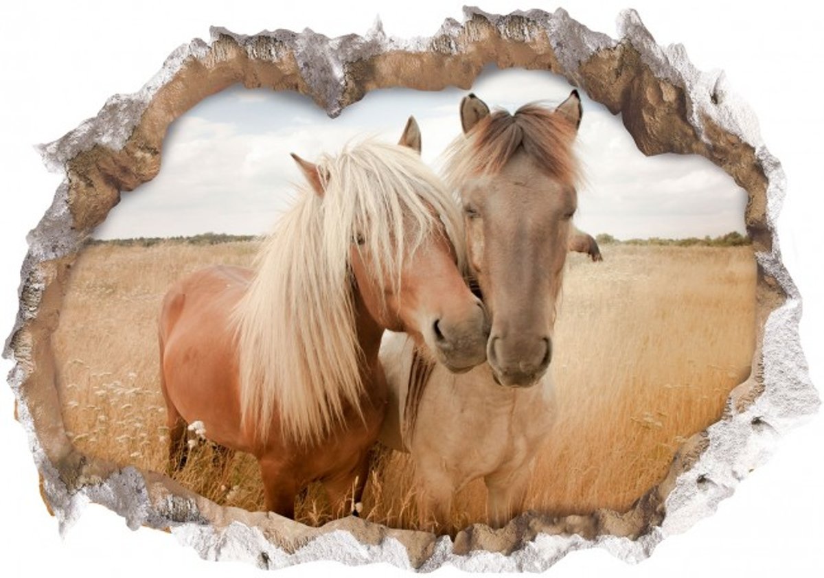 Muursticker met 3D effect Paarden