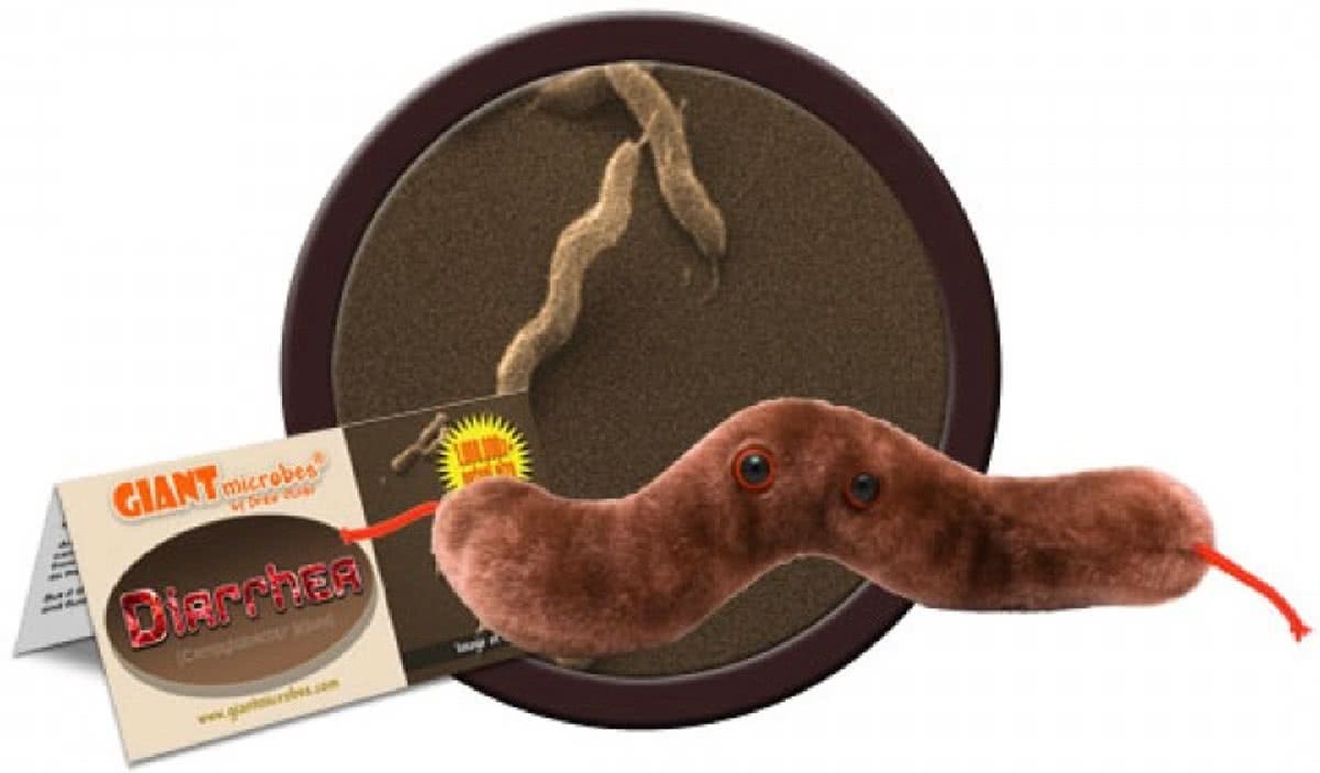 Diarrhea (Campylobacter Jejuni)