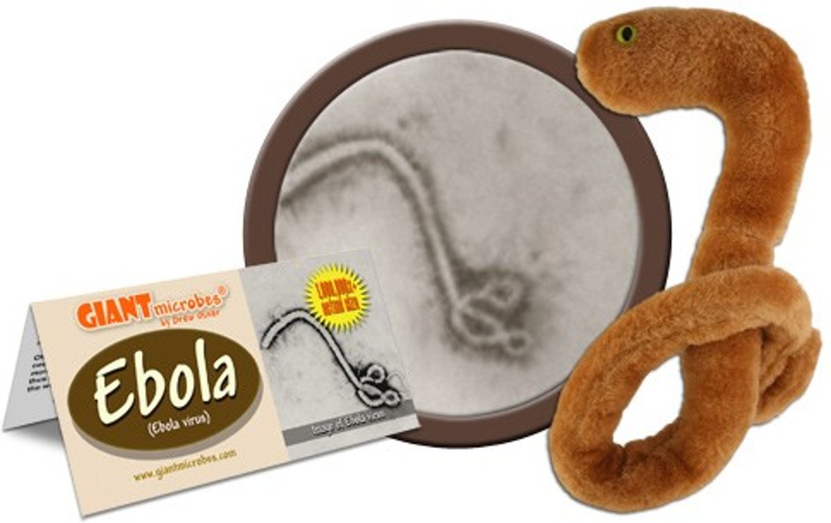 Ebola (Ebola Virus)