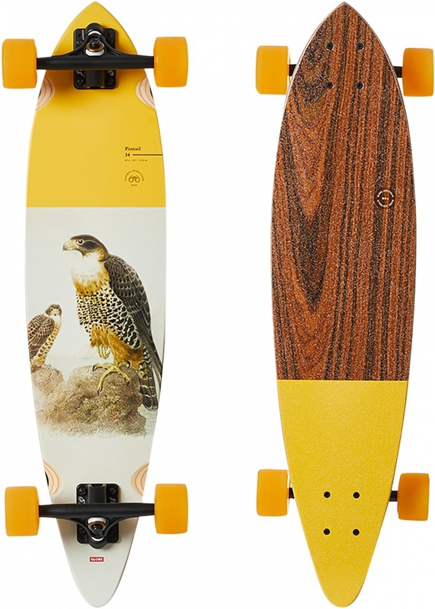 Globe Pintail 34 - Falcon longboard