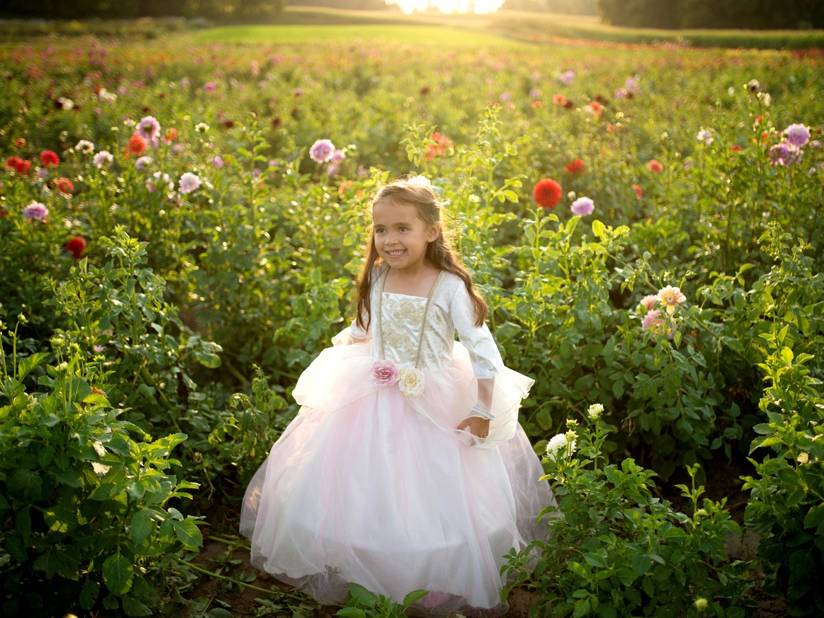 Prinsessenjurk meisje 3-4 jaar - Prinsessenjurk verkleedkleding - prinsessenjurk -  Golden Rose - Prinses - Verkleden