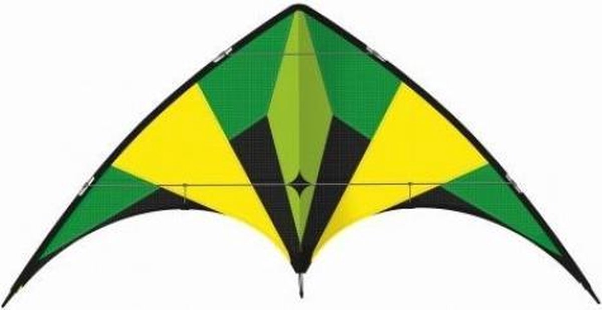 Günther Kite Active Loop 160 X 80 Cm Polyester Groen/geel