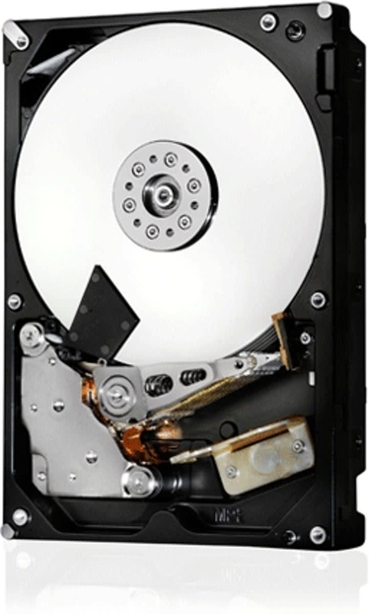 HGST Ultrastar 2TB 2048GB SAS interne harde schijf