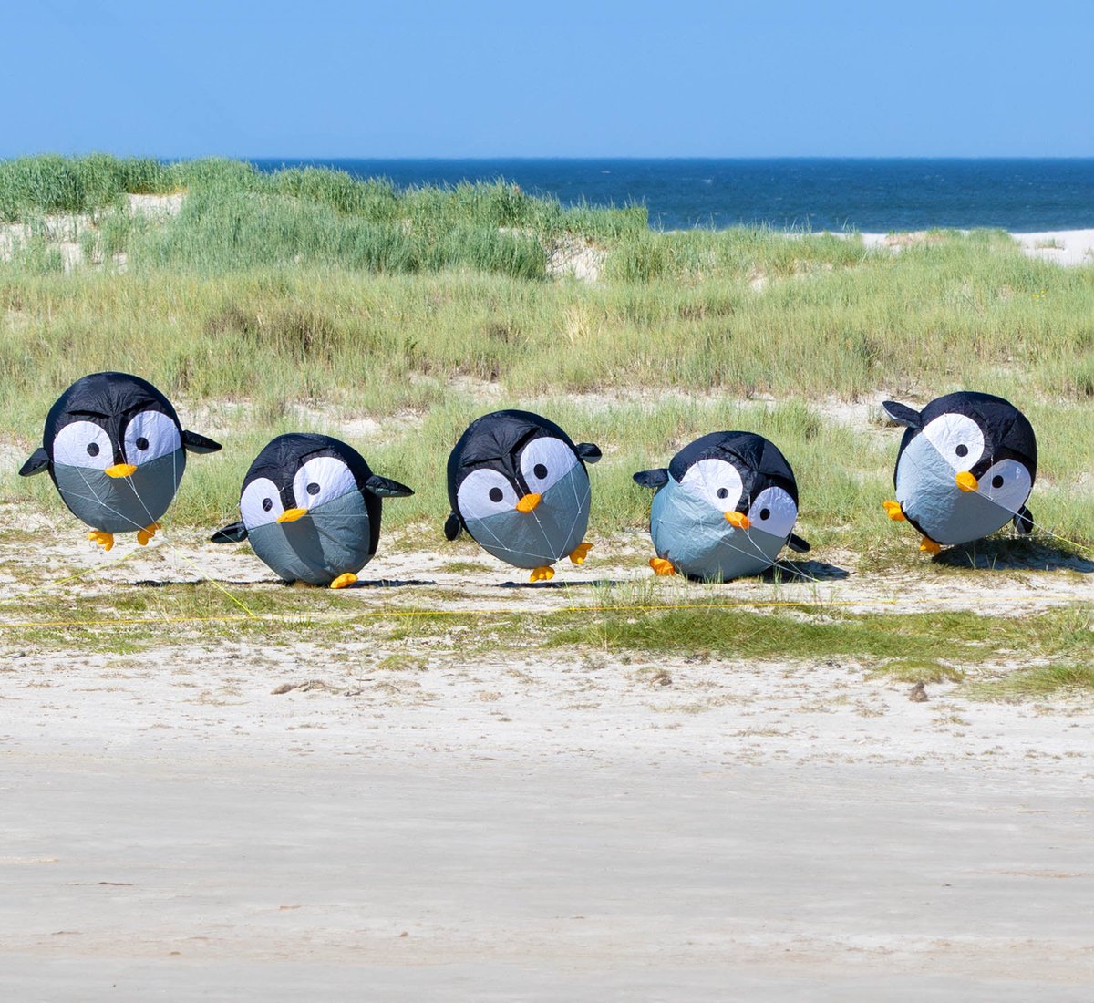 Windzak HQ Bouncing Birdeez Penguin XL 100 cm 126321 Zwart 100 cm