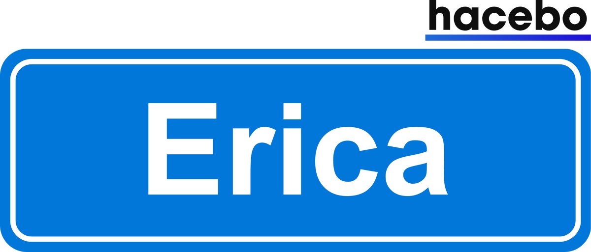 Hacebo - Plaatsnaam Sticker - 29x10 CM - Erica sticker - Verkeersborden sticker - grappige cadeaus - Erica