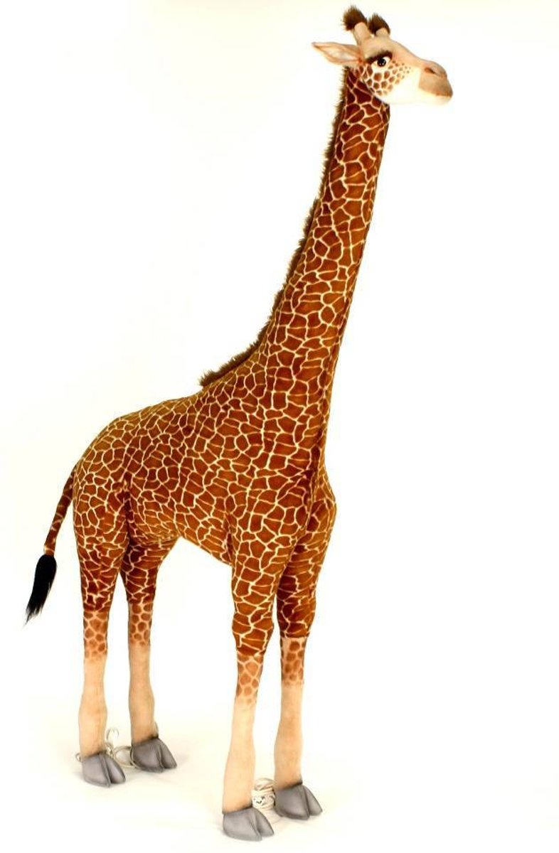 Grote Giraffe Knuffel, 200 cm, Hansa