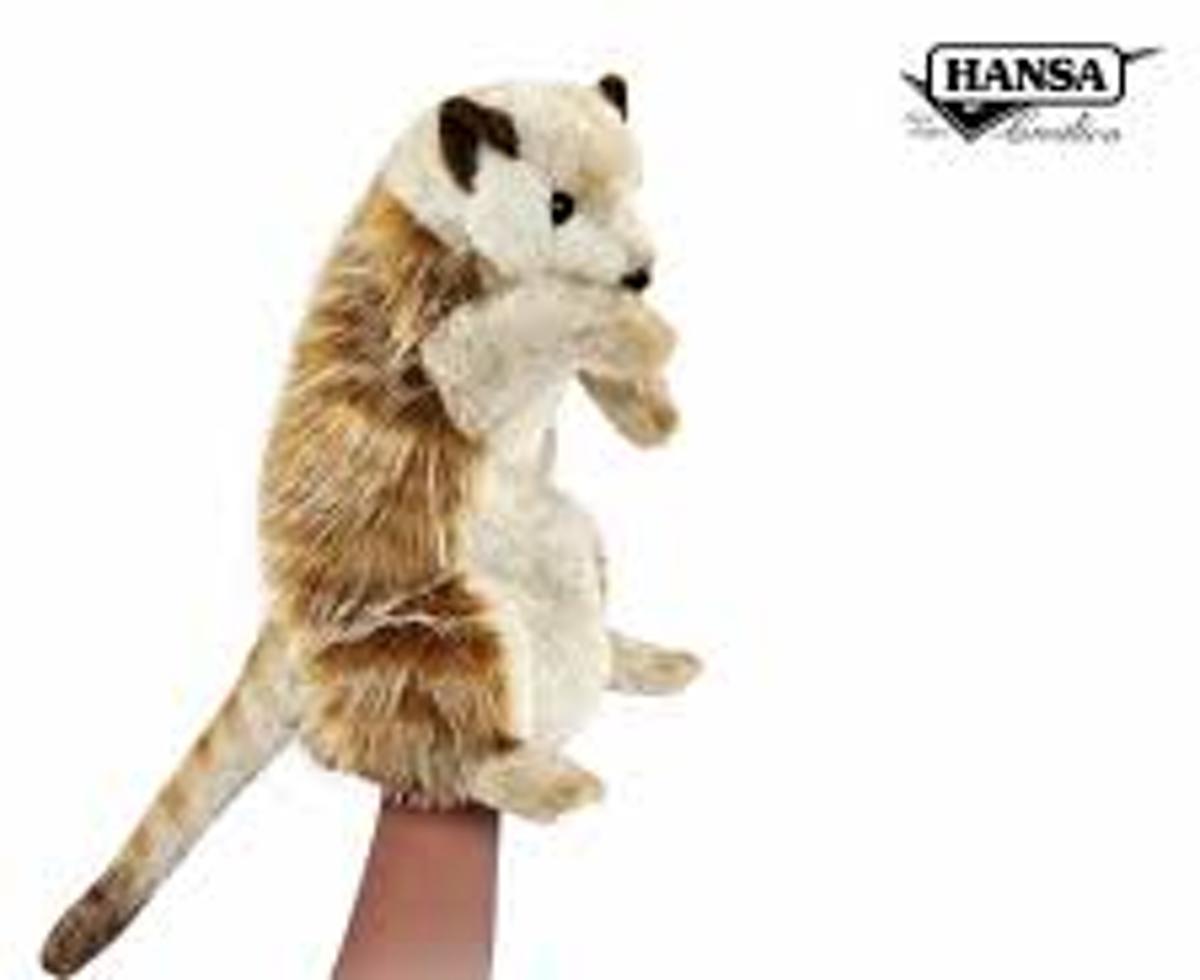 Handpop Meerkat, Hansa