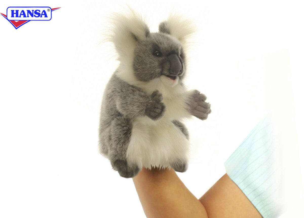 Koala  ,  