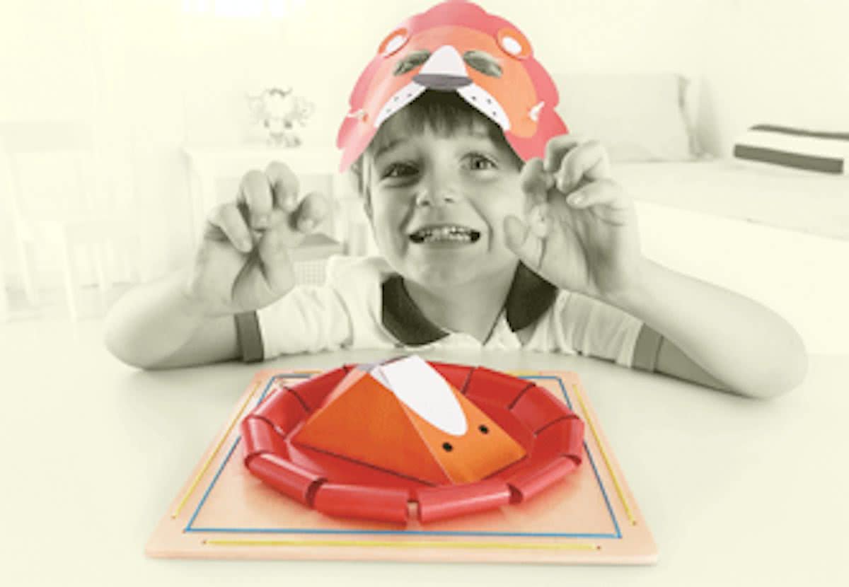 Hape Maskerset met frame leeuw