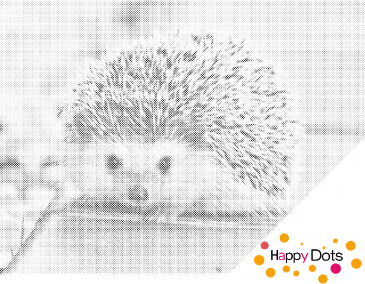 HappyDots DOT Painting Egel 30x40cm - Stippelschilderij