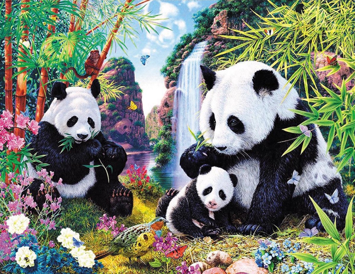 HappyHobby Diamond Painting Volwassenen – Diamond Painting Kinderen – 40x50cm - Drie Panda’s Dieren