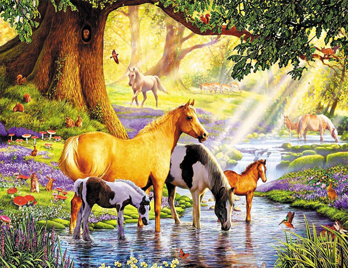 HappyHobby Diamond Painting Volwassenen – Diamond Painting Kinderen – 40x50cm - Paarden in Natuur Dieren