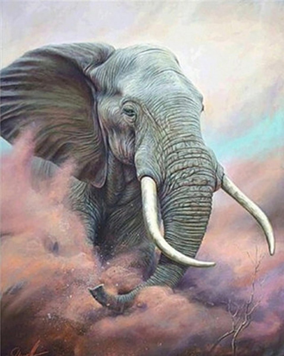 HappyHobby Diamond Painting Volwassenen – Volledig Pakket Inclusief Alle Accessoires – Vierkant – 30x40cm - Krachtige Olifant Dieren