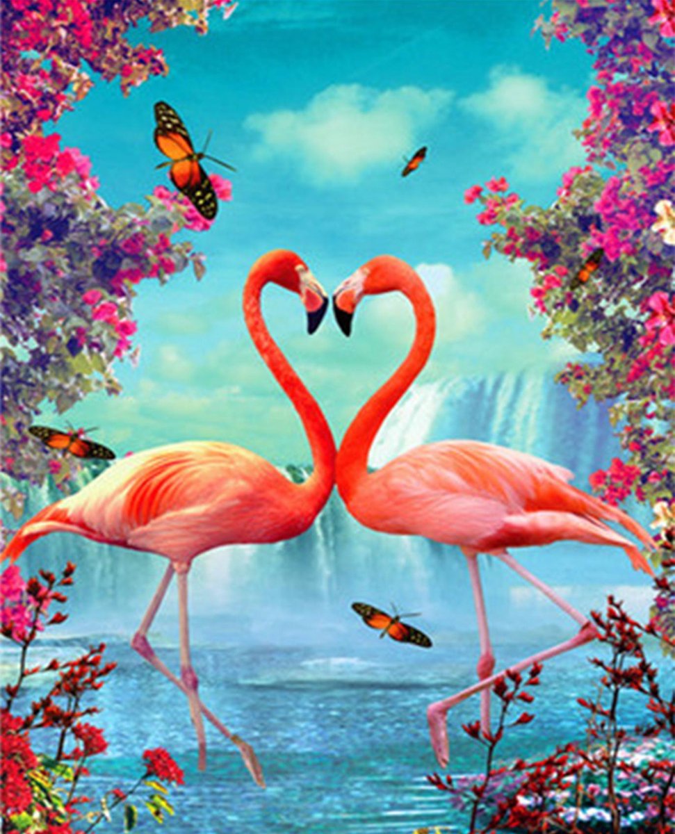 HappyHobby Diamond Painting Volwassenen – Volledig Pakket Inclusief Alle Accessoires – Vierkant – 30x40cm - Liefdevolle Flamingo’s Dieren