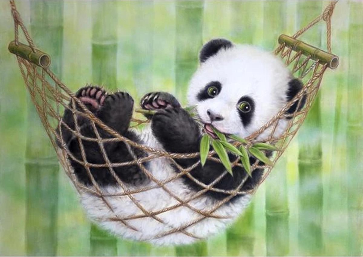 HappyHobby Diamond Painting Volwassenen – Volledig Pakket Inclusief Alle Accessoires – Vierkant – 30x40cm - Relaxende Panda Dieren