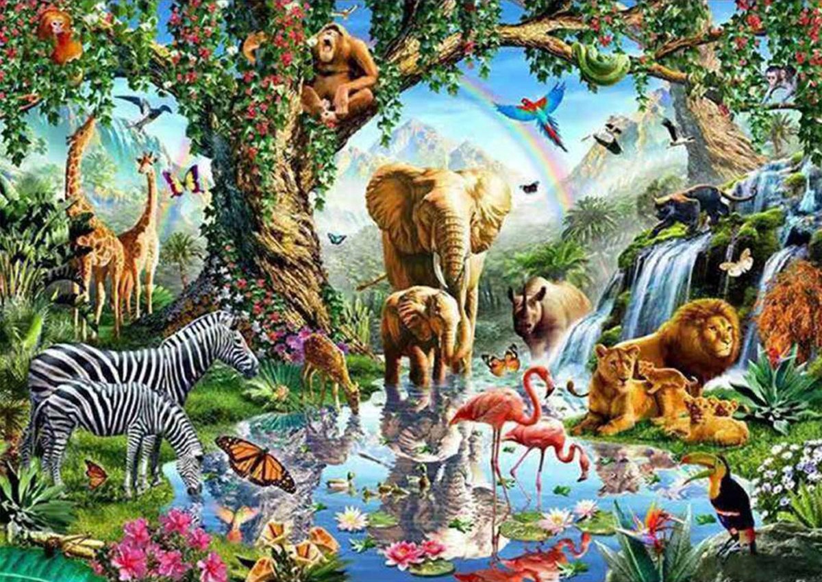 HappyHobby Diamond Painting Volwassenen – Volledig Pakket Inclusief Alle Accessoires – Vierkant – 40x50cm - Dieren in Natuur