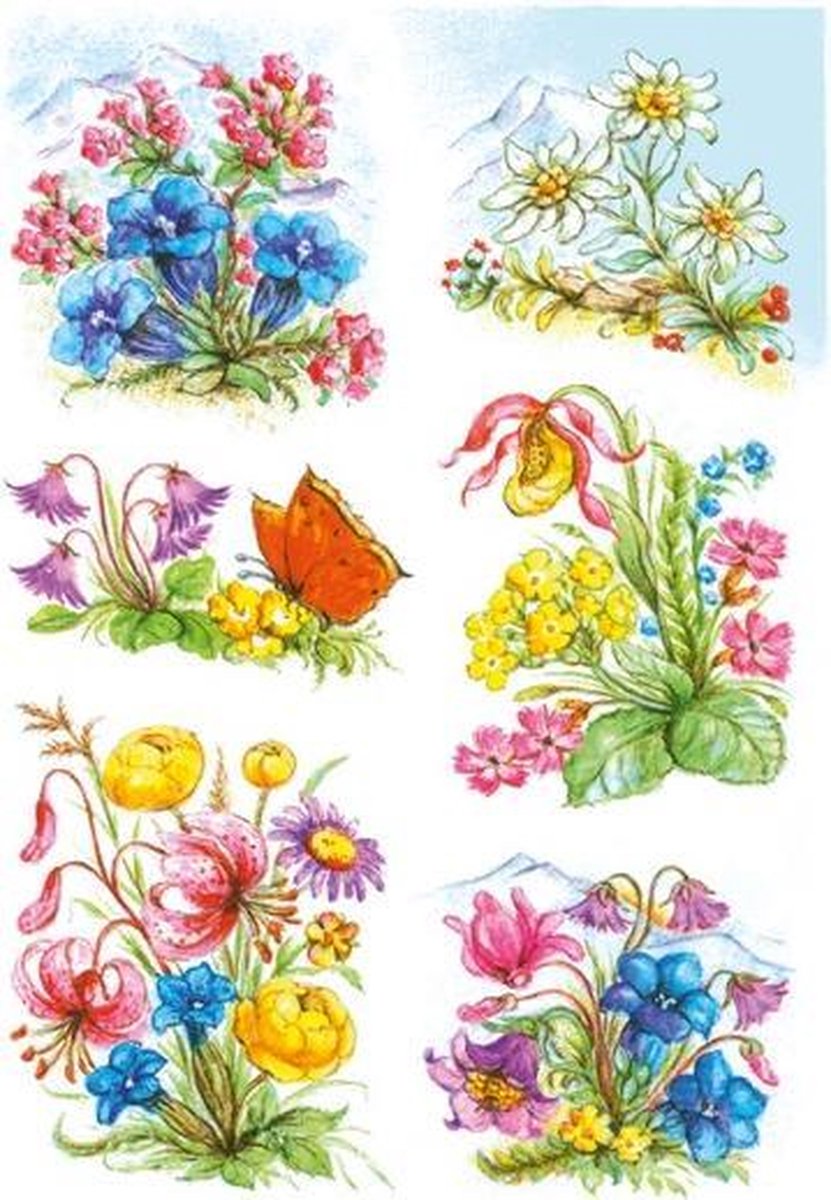 Haza Original Etiketten 6 Stuks 16 X 9 Cm Bloemen