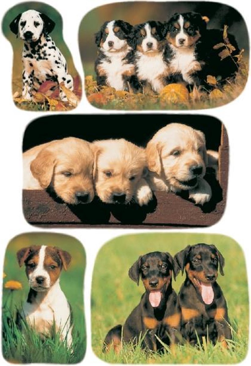 Herma Etiketten Puppys Junior 16 X 9 Cm Papier 3 Vellen