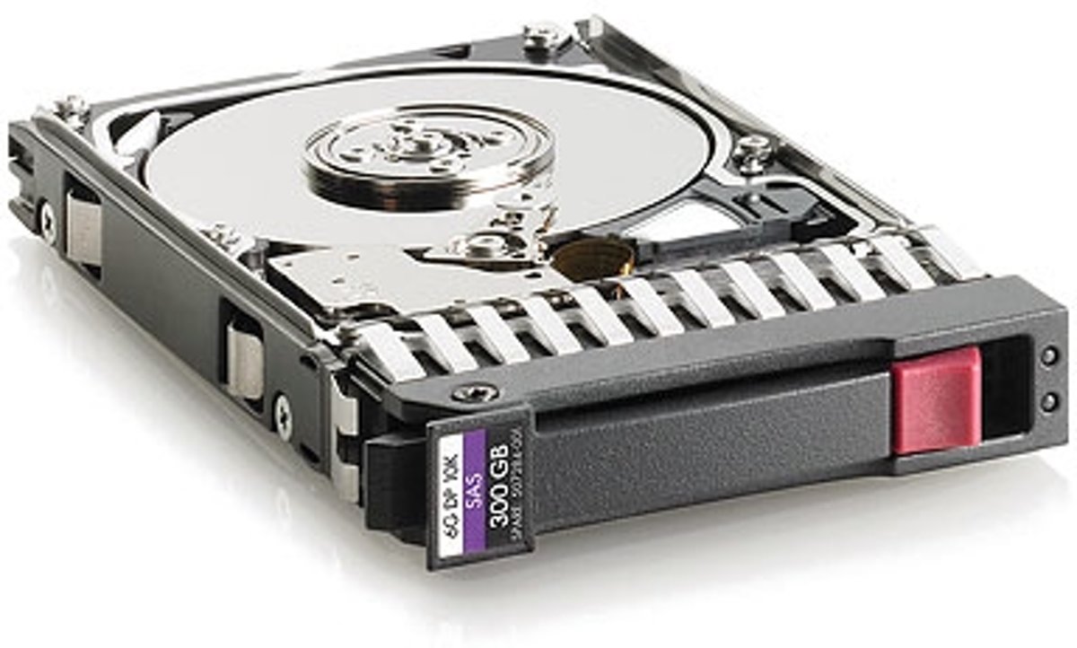 Hewlett Packard Enterprise interne harde schijven HP 300GB 6G SAS 10K rpm 2.5-inch Dual Port Enterprise Hard Disk Drive