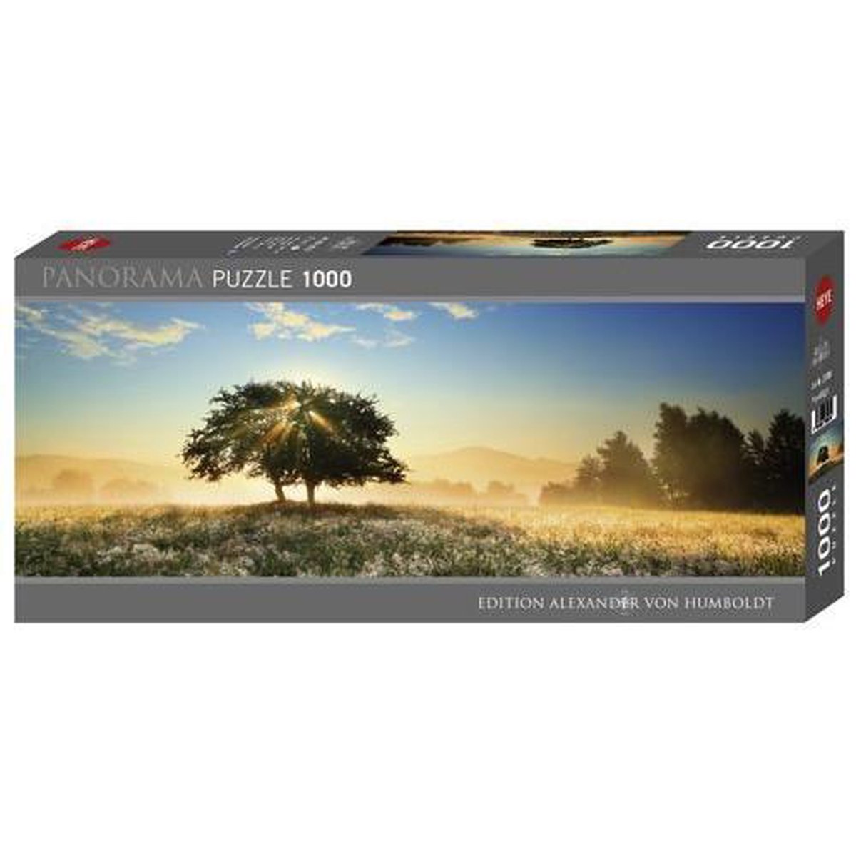 Heye Puzzel Panorama Play of Light 1000