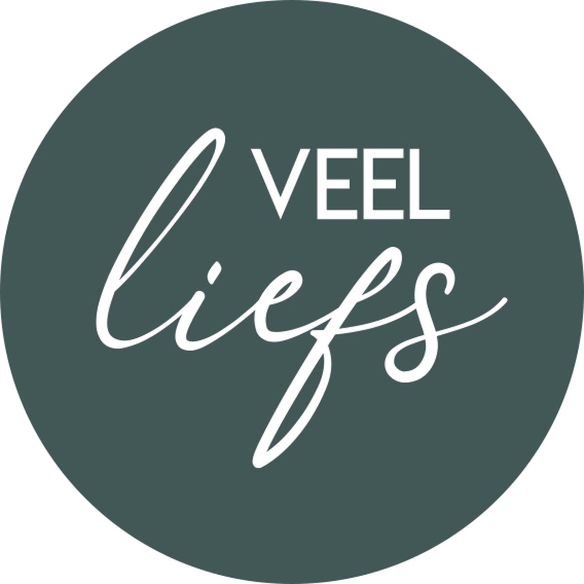 20 Stickers Veel liefs - wensetiket - sluitsticker - inpakken - cadeau - geboortepost - verhuiskaarten - wenskaarten - Hippekaartjeswinkel