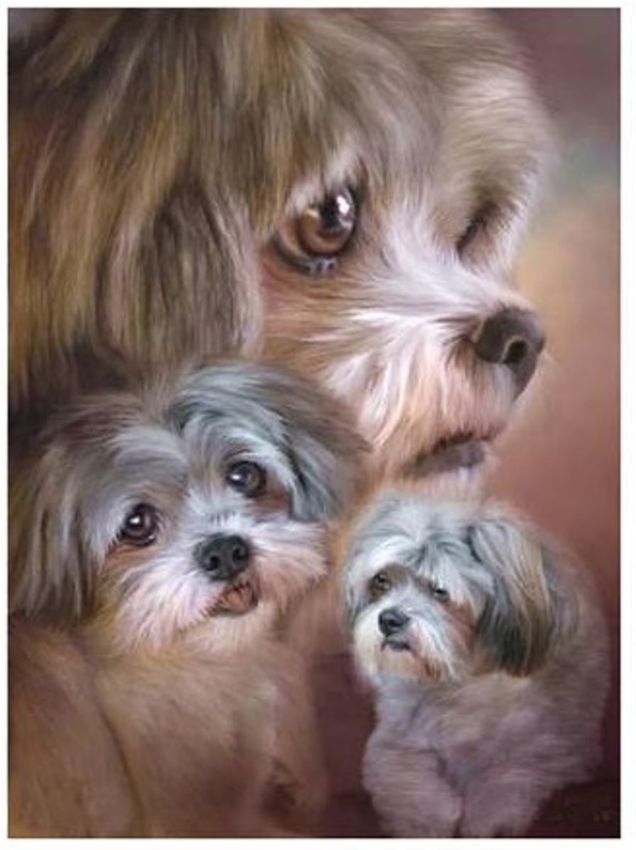 Diamond Painting Hondjes - 30x40 - Vierkante Steentjes - High Quality - Diamant Schilderen - Diamond Painting Pakket - Pixelhobby