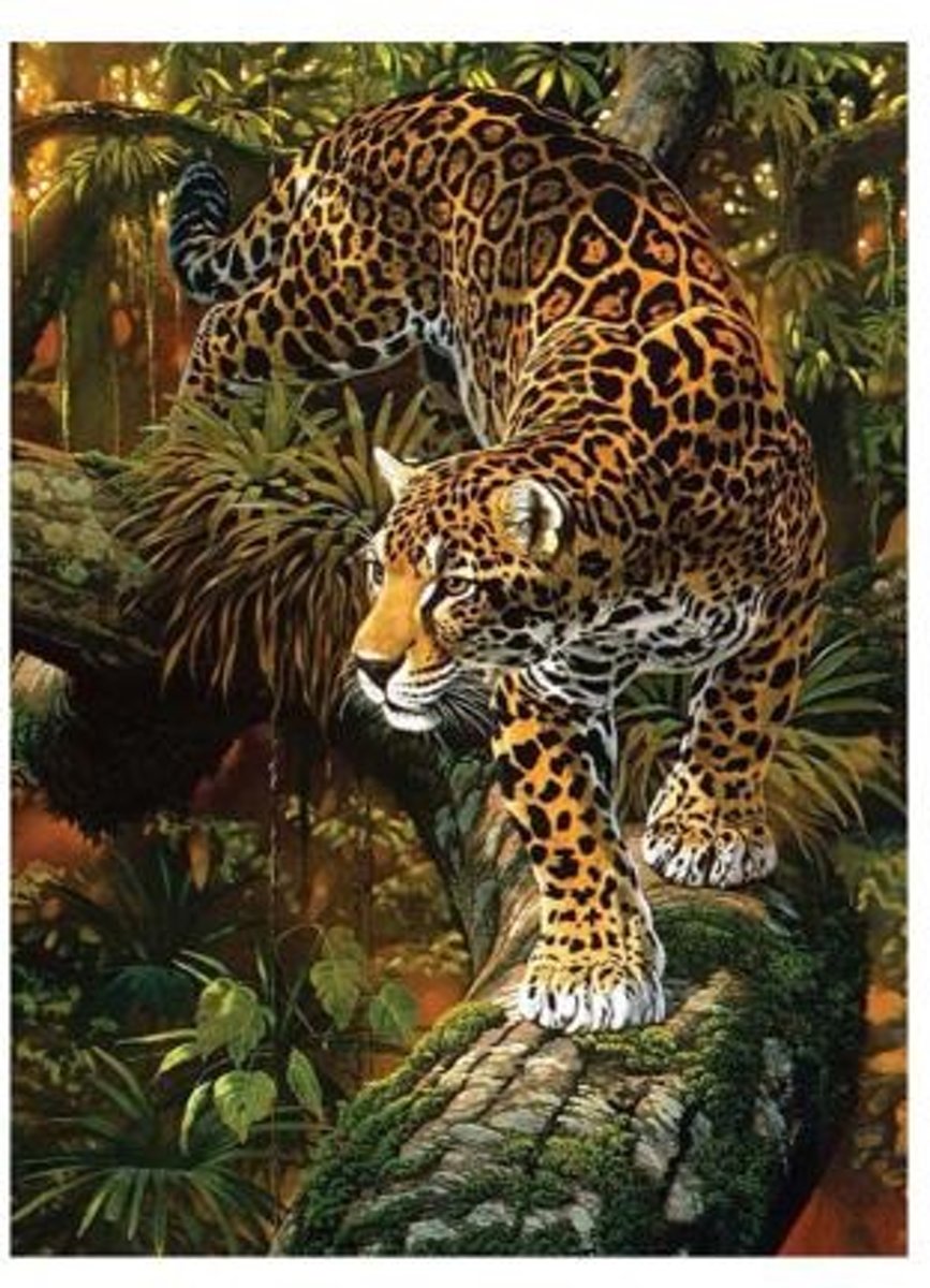 Diamond Painting Luipaard- 30x40 - Vierkante Steentjes - High Quality - Diamant Schilderen - Diamond Painting Pakket - Pixelhobby