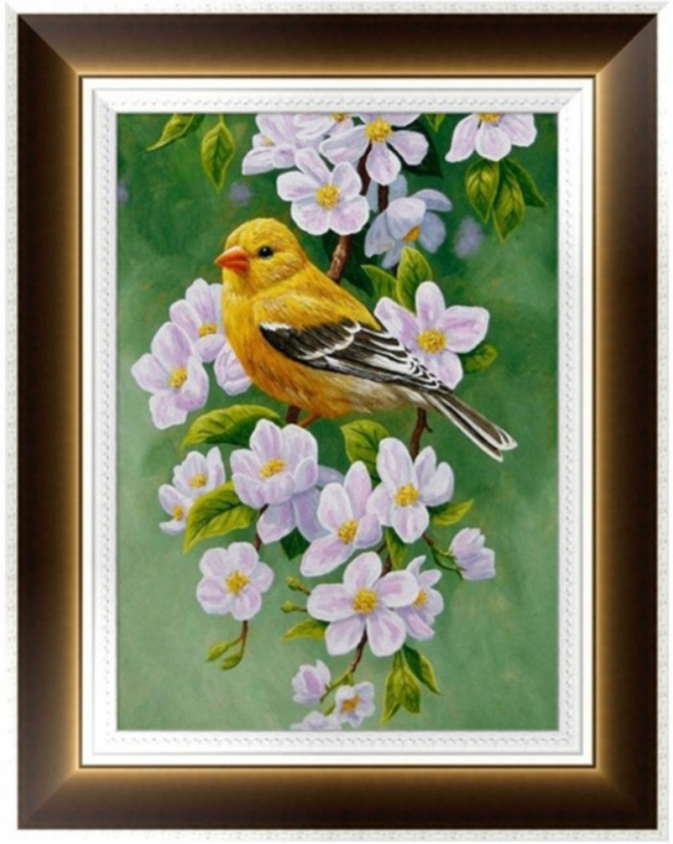 Diamond Paintings Pakket - Vogel Met Bloemen - 40x30cm - Rond - Diamond Painting - Diamond Painting Pakketten - Diamond Paint - Diamond Schilderen - Diamond Painting Nederland - Diamond Painting Volwassenen